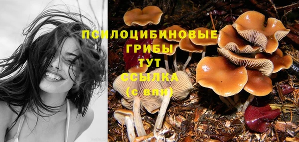 МДМА Протвино