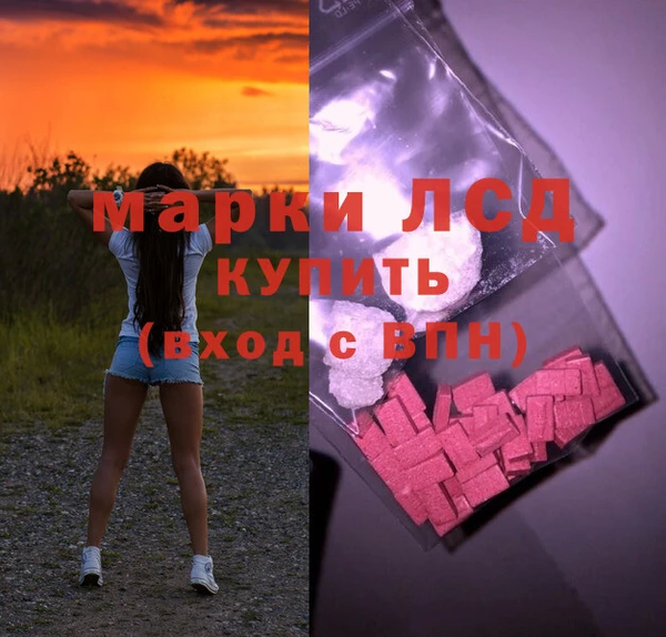 прущие грибы Ростов