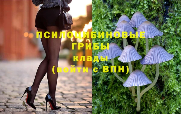 прущие грибы Ростов