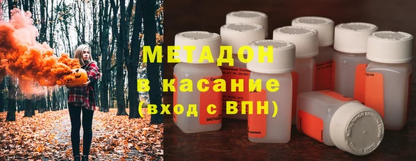 прущие грибы Ростов