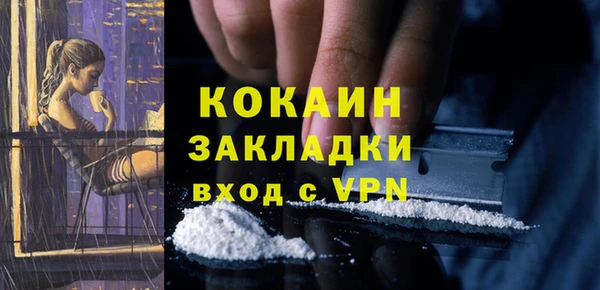 прущие грибы Ростов
