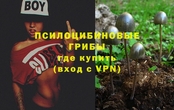 кокс Россошь