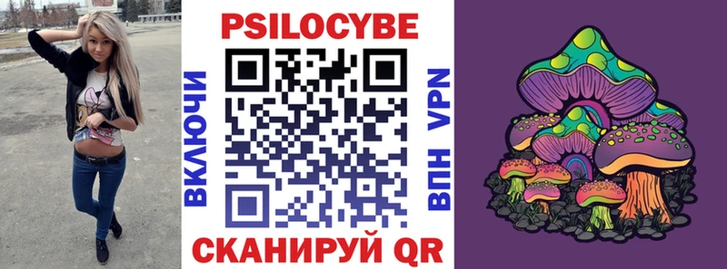 Купить где Дыгулыбгей Галлюциногенные грибы Psilocybine cubensis
